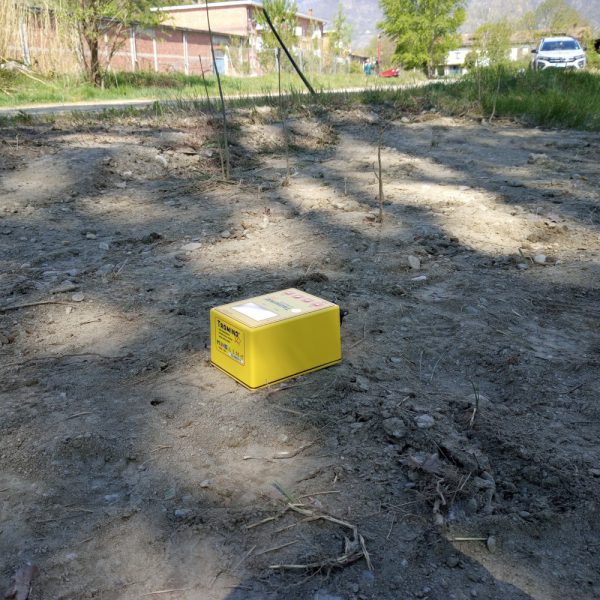 tromino